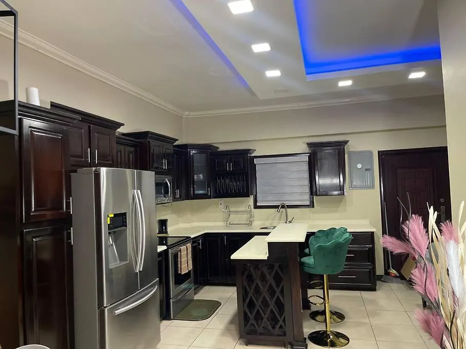 Elitestay At Casa De Barron Kingston Apartment