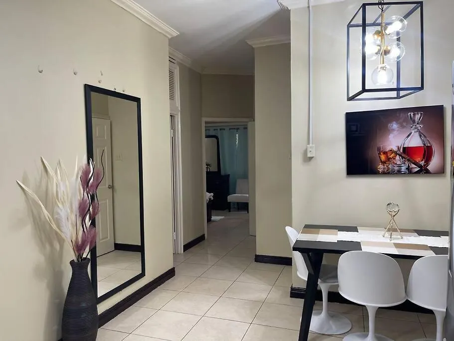 Elitestay At Casa De Barron Kingston Apartment