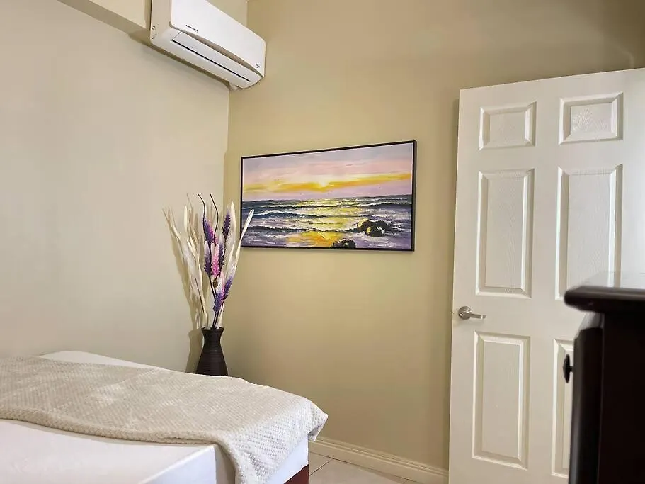 Elitestay At Casa De Barron Kingston Apartment
